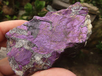 Natural Selected Purpurite Cobbed Specimens  x 6 From Namibia - TopRock