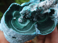 Natural Blue Chrysocolla On Silky Malachite Matrix Specimen x 1 From Kulukuluku, Congo - Toprock Gemstones and Minerals 