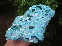 Natural Blue Chrysocolla On Silky Malachite Matrix Specimen x 1 From Kulukuluku, Congo - Toprock Gemstones and Minerals 