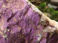 Natural Selected Purpurite Cobbed Specimens  x 6 From Namibia - TopRock