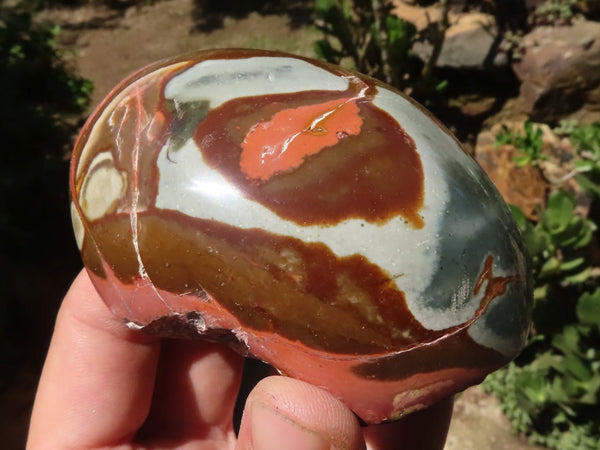 Polished Polychrome / Picasso Jasper Domes  x 6 From Madagascar - TopRock