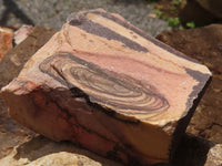 Natural Rough Nguni Jasper Specimens  x 14 From Northern Cape, South Africa - TopRock