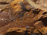 Natural Rough Nguni Jasper Specimens  x 14 From Northern Cape, South Africa - TopRock