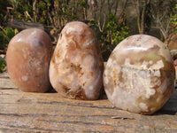 Polished Ocean Flower Agate Standing Free Forms  x 3 From Madagascar