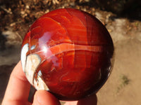 Polished  Gorgeous Carnelian Agate Spheres  x 8 From Madagascar