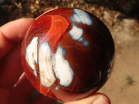 Polished  Gorgeous Carnelian Agate Spheres  x 8 From Madagascar