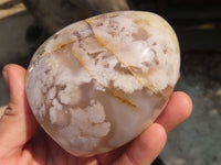 Polished Ocean Flower Agate Standing Free Forms  x 3 From Madagascar