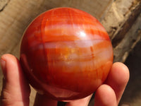 Polished  Gorgeous Carnelian Agate Spheres  x 8 From Madagascar