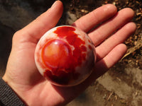 Polished  Gorgeous Carnelian Agate Spheres  x 8 From Madagascar