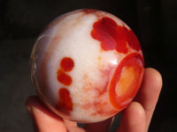 Polished  Gorgeous Carnelian Agate Spheres  x 8 From Madagascar