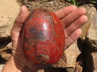 Polished Deep Red Flame Jasper Standing Free Forms x 2 From Madagascar - TopRock