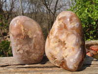 Polished Ocean Flower Agate Standing Free Forms  x 3 From Madagascar