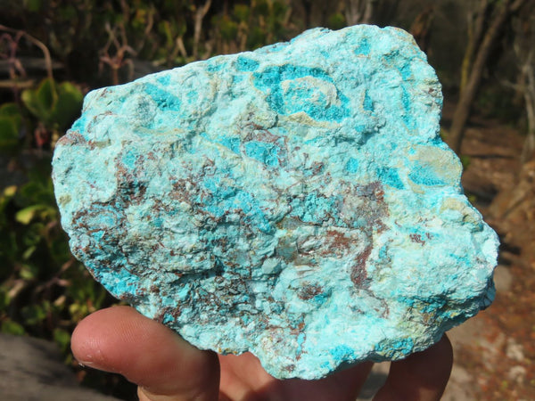 Natural Rough Shattuckite Cobbed Specimens x 12 From Kaokoveld, Namibia