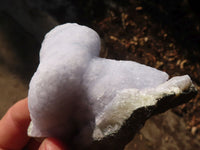 Natural Blue Lace Agate Geode Specimens  x 12 From Nsanje, Malawi