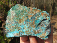 Natural Rough Shattuckite Cobbed Specimens x 12 From Kaokoveld, Namibia