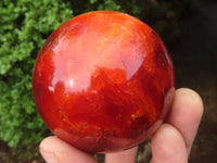 Polished Gorgeous Carnelian Agate Spheres  x 3 From Madagascar - Toprock Gemstones and Minerals 