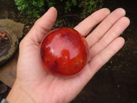 Polished Gorgeous Carnelian Agate Spheres  x 3 From Madagascar - Toprock Gemstones and Minerals 