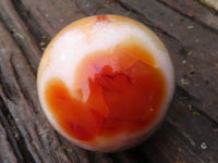 Polished Gorgeous Carnelian Agate Spheres  x 3 From Madagascar - Toprock Gemstones and Minerals 