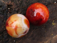 Polished Gorgeous Carnelian Agate Spheres  x 3 From Madagascar - Toprock Gemstones and Minerals 