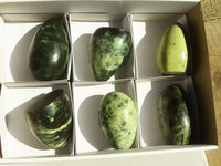 Polished Green Leopard Stone Standing Free Forms  x 6 From Zimbabwe - Toprock Gemstones and Minerals 