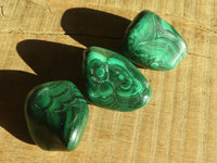 Polished  Small Flower Malachite Free Forms  x 20 From Congo