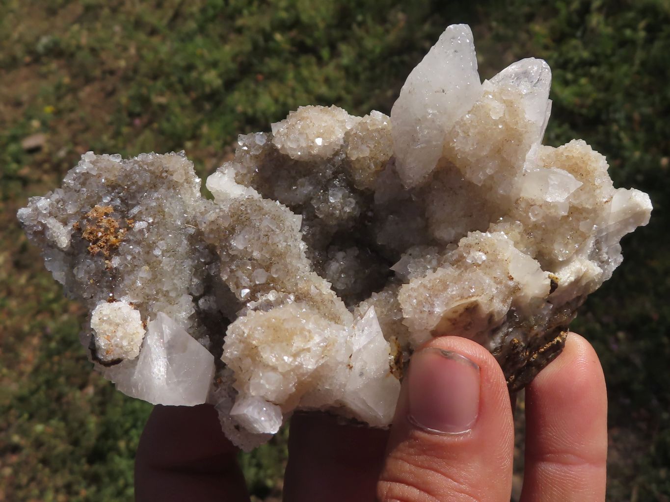 Huge Botryoidal Fluorite on MM Quartz Very Rare Natural Mineral Specim –  Superb Minerals