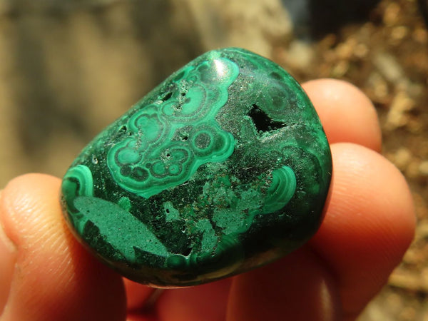 Polished  Small Flower Malachite Free Forms  x 20 From Congo