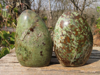 Polished Chrysoprase Standing Free Forms  x 2 From Madagascar