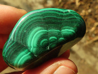 Polished  Small Flower Malachite Free Forms  x 20 From Congo