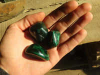 Polished  Small Flower Malachite Free Forms  x 20 From Congo