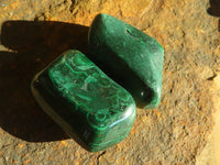 Polished  Small Flower Malachite Free Forms  x 20 From Congo