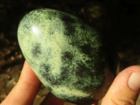 Polished Green Leopard Stone Standing Free Forms  x 6 From Zimbabwe - Toprock Gemstones and Minerals 