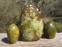 Polished Green Opal Standing Free Forms  x 3 From Mahajanga, Madagascar - TopRock