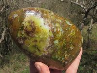 Polished Green Opal Standing Free Forms  x 3 From Mahajanga, Madagascar - TopRock