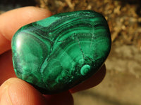 Polished  Small Flower Malachite Free Forms  x 20 From Congo