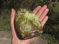 Polished Green Opal Standing Free Forms  x 3 From Mahajanga, Madagascar - TopRock