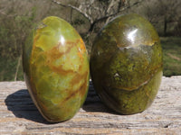 Polished Green Opal Standing Free Forms  x 3 From Mahajanga, Madagascar - TopRock