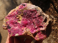 Natural Pink Salrose Cobaltion Dolomite Specimens  x 2 From Kakanda, Congo