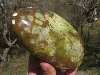 Polished Green Opal Standing Free Forms  x 3 From Mahajanga, Madagascar - TopRock