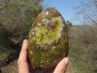 Polished Green Opal Standing Free Forms  x 3 From Mahajanga, Madagascar - TopRock