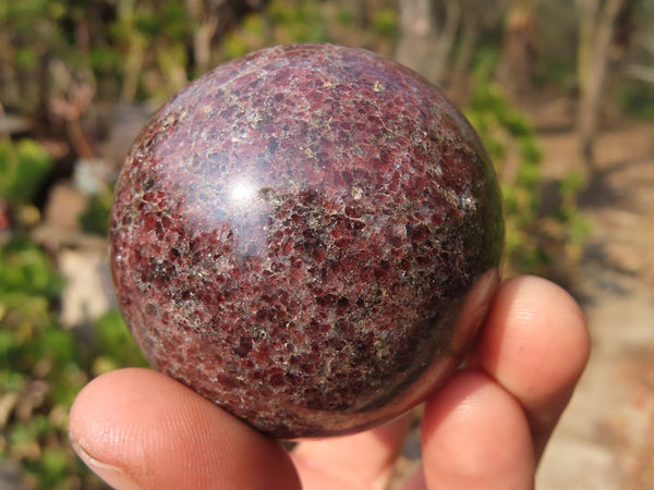 Polished Pyrope Garnet Matrix Spheres  x 4 From Madagascar