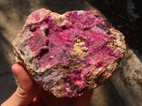 Natural Pink Salrose Cobaltion Dolomite Specimens  x 2 From Kakanda, Congo