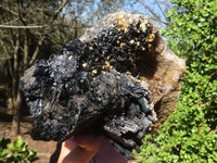 Natural Extra Large Schorl Black Tourmaline Specimen With Vermiculite  x 1 From Erongo, Namibia - Toprock Gemstones and Minerals 