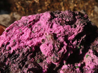 Natural Pink Salrose Cobaltion Dolomite Specimens  x 2 From Kakanda, Congo