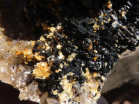 Natural Extra Large Schorl Black Tourmaline Specimen With Vermiculite  x 1 From Erongo, Namibia - Toprock Gemstones and Minerals 