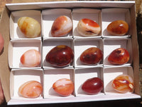 Polished Carnelian Agate Gemstone Eggs x 12 From Madagascar - TopRock