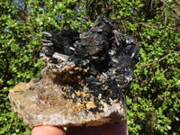 Natural Extra Large Schorl Black Tourmaline Specimen With Vermiculite  x 1 From Erongo, Namibia - Toprock Gemstones and Minerals 