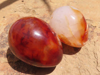 Polished Carnelian Agate Gemstone Eggs x 12 From Madagascar - TopRock