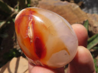 Polished Carnelian Agate Gemstone Eggs x 12 From Madagascar - TopRock