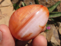 Polished Carnelian Agate Gemstone Eggs x 12 From Madagascar - TopRock